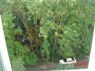 DSC08896.JPG