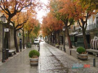 DSC00331.JPG
