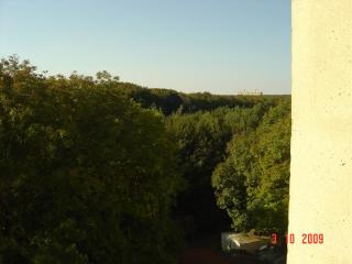 DSC08895.JPG