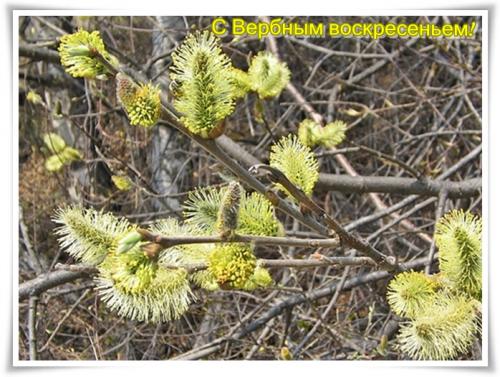 Курсы 161о.jpg