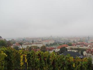 IMG_5065.JPG
