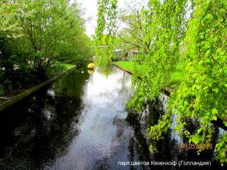 IMG_5679.JPG