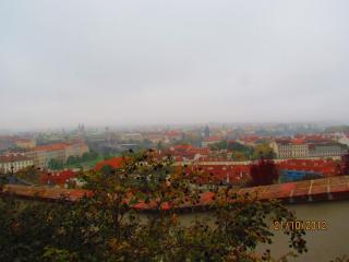 IMG_5063.JPG