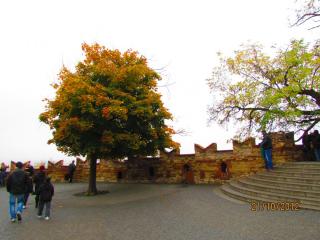 IMG_5060.JPG