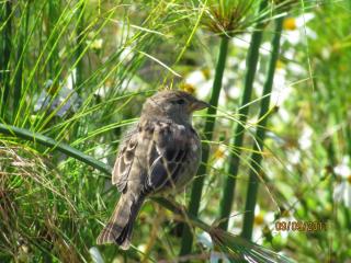 IMG_0819.JPG