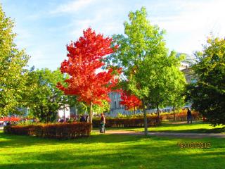 IMG_4575.JPG
