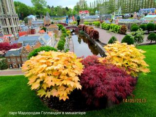 IMG_5796.JPG