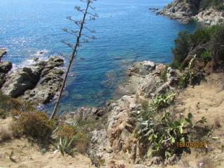 IMG_1557.JPG