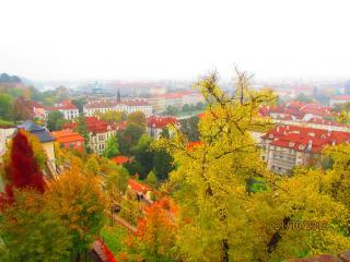 IMG_5061.JPG