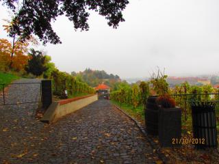 IMG_5064.JPG