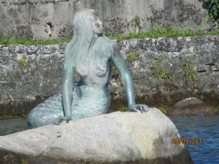 IMG_0900.JPG