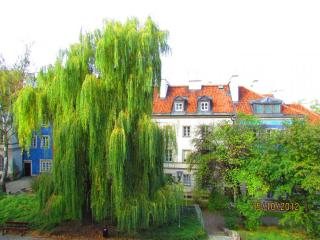 IMG_4515.JPG
