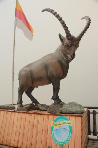 IMG_5649.JPG