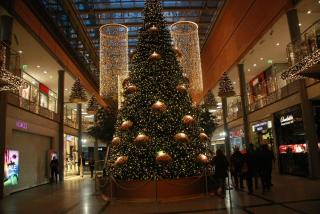 IMG_7800.JPG