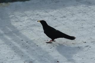 IMG_1794.JPG