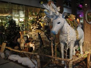 DSC03107.JPG