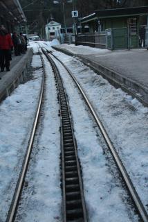 IMG_1689.JPG