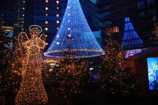 IMG_7806.JPG