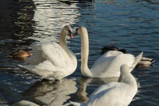 IMG_2173.JPG
