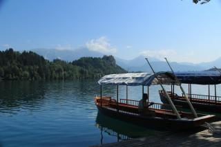 IMG_0483.JPG