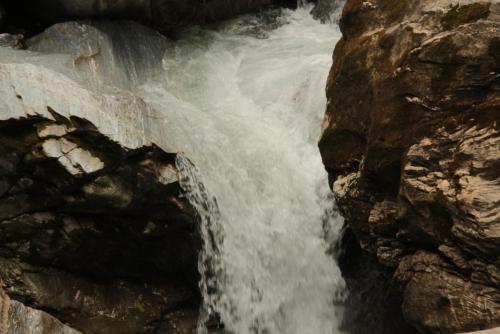 IMG_5881.JPG