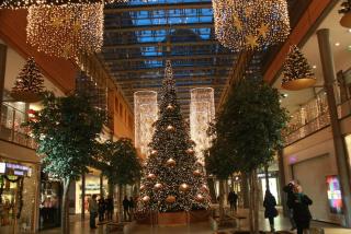 IMG_7804.JPG