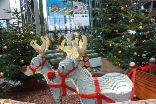 IMG_7775.JPG