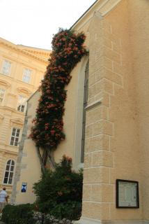 IMG_0884.JPG