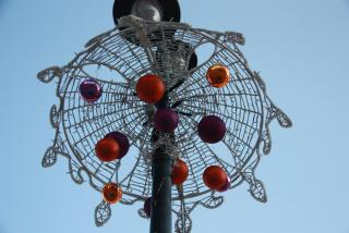 IMG_7594.JPG
