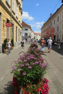 IMG_0791.JPG