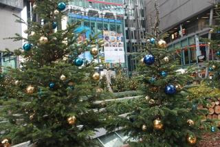 IMG_7774.JPG