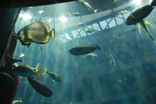 IMG_7979.JPG
