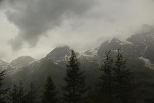 IMG_5538.JPG