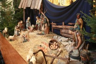 IMG_7592.JPG