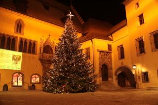 IMG_2069.JPG