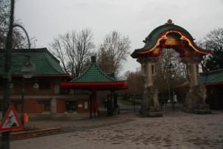 IMG_7698.JPG
