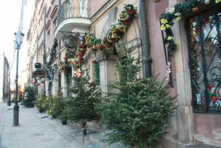 IMG_7547.JPG