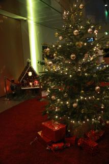 IMG_7818.JPG