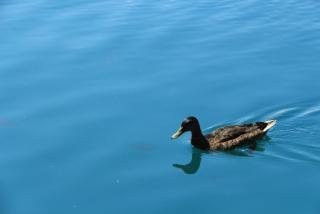 IMG_0572.JPG