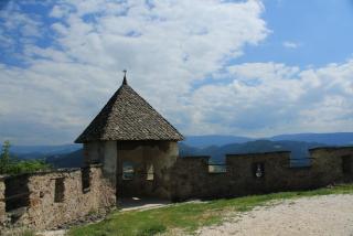 IMG_9975.JPG