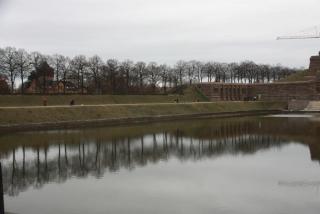 IMG_7885.JPG