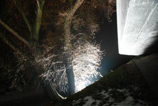 IMG_8047.JPG