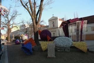 IMG_7563.JPG