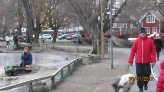 IMG_4496.JPG