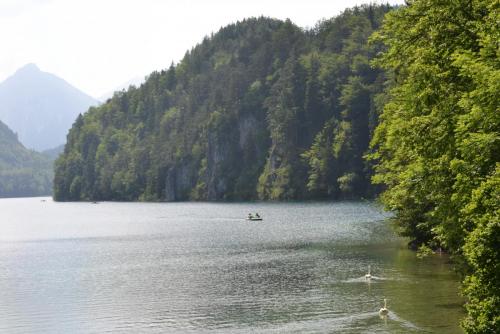 DSC_0426.JPG