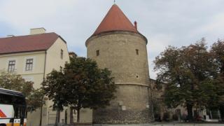 IMG_5116.JPG