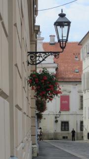 IMG_5193.JPG