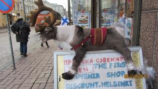 IMG_4034.JPG