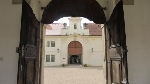 IMG_7251.JPG