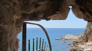IMG_2317.JPG
